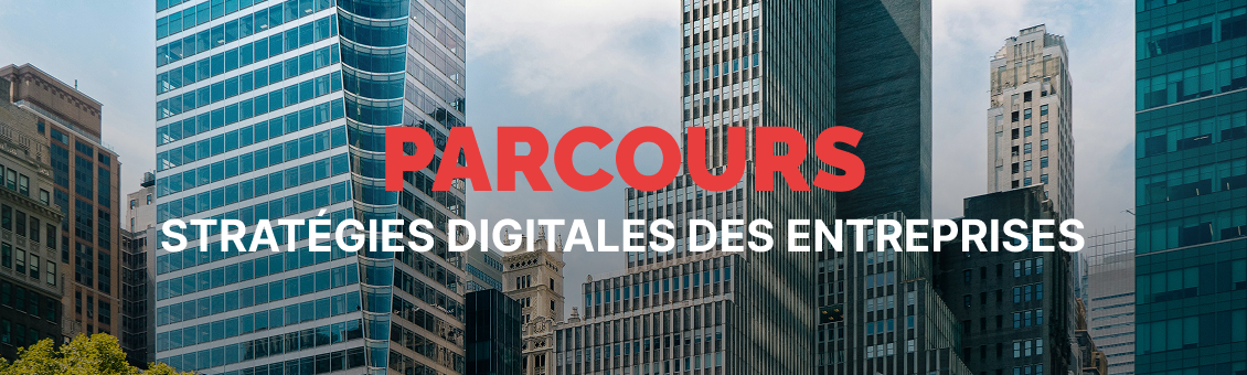 Stratégies digitales des entreprises